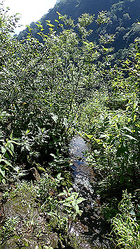 p8260866_thumb.jpg