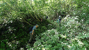 p8260867_thumb.jpg