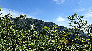 p8260869_thumb.jpg