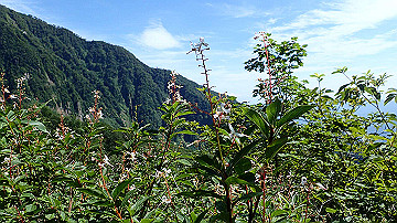 p8260870_thumb.jpg