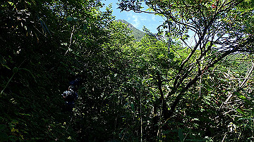 p8260873_thumb.jpg