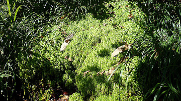 p8260875_thumb.jpg