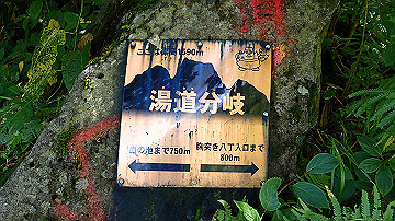 p8260882_thumb.jpg