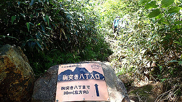 p8260886_thumb.jpg