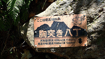p8260887_thumb.jpg