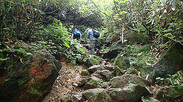 p8260897_thumb.jpg