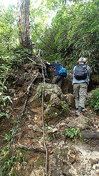 p8260898_thumb.jpg