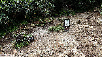 p8260901_thumb.jpg