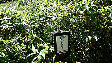 p8260902_thumb.jpg