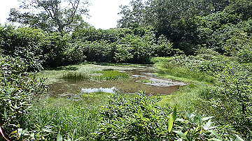 p8260903_thumb.jpg