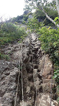 p8260906_thumb.jpg