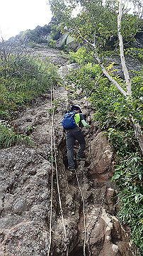 p8260908_thumb.jpg