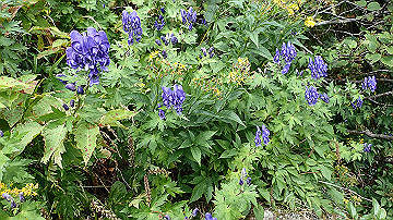 p8260929_thumb.jpg