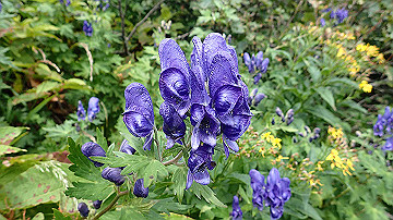 p8260930_thumb.jpg