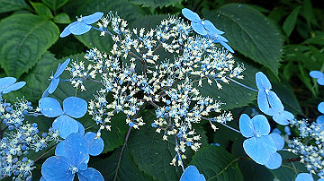 p8260936_thumb.jpg