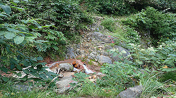 p8260940_thumb.jpg