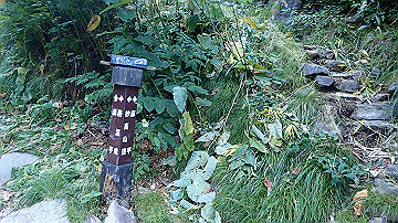 p8260941_thumb.jpg
