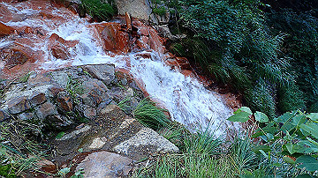 p8260950_thumb.jpg