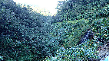 p8260951_thumb.jpg