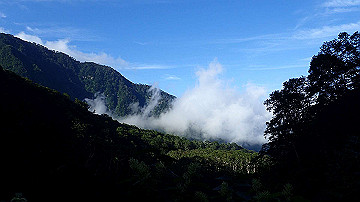 p8260954_thumb.jpg