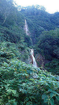 p8260955_thumb.jpg