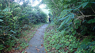 p8260969_thumb.jpg