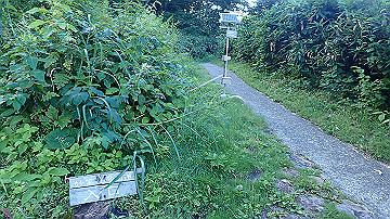 p8260971_thumb.jpg