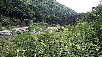p8271016_thumb.jpg