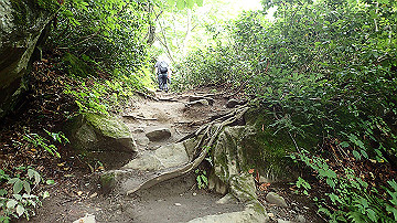 p8271018_thumb.jpg