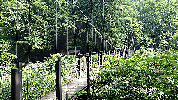 p8271024_thumb.jpg