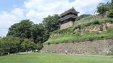 p8271066_thumb.jpg