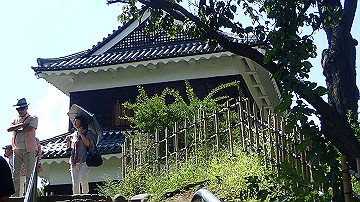 p8271095_thumb.jpg