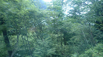 p8271119_thumb.jpg
