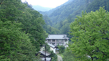 p8281145_thumb.jpg