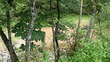 p8281150_thumb.jpg