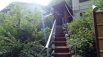 p8281165_thumb.jpg