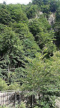 p8281176_thumb.jpg