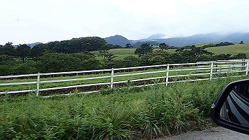 p8281191_thumb.jpg