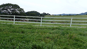 p8281192_thumb.jpg