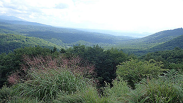 p8281198_thumb.jpg