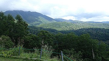 p8281199_thumb.jpg