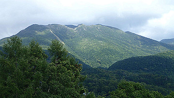 p8281200_thumb.jpg