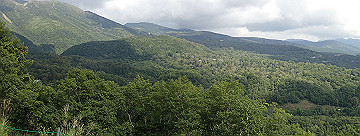 p8281201_thumb.jpg