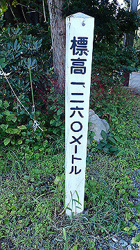 p8281211_thumb.jpg
