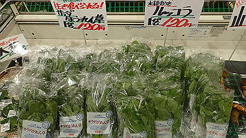 p8291217_thumb.jpg