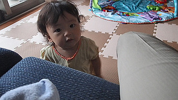 p8301232.mov_snapshot_00.04_thumb.jpg