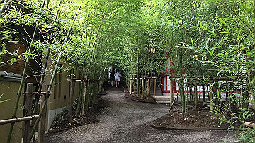 img_8476_thumb.jpg
