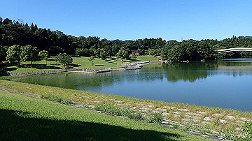 p9011219_thumb.jpg