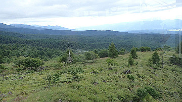 p9011230_thumb.jpg
