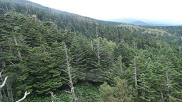 p9011234_thumb.jpg